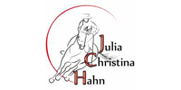 Julia Christina Hahn - Netzwerk Lichtgemälde